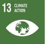 Sustainable  development policy icon